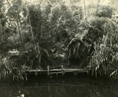 Bamboo Landing on Estero River.