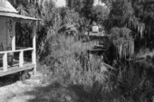 Estero River and corner of the old Koreshan Unity medical cottage.