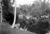 Docks down the Estero River.