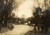 Bamboo Landing on Estero River.