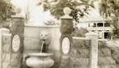 Postcard showing fountain on the Koreshan Unity property in Estero, Florida.
