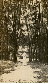 Postcard showing Rose Gilbert standing by bamboo grass on Koreshan Unity property in Estero, Florida.