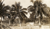 Postcard showing Dr. Teed's mausoleum and coconut trees at Ft. Myers Beach on Estero Island, Florida.