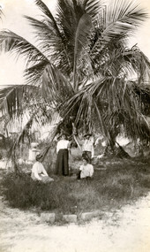 Koreshans beneath a palm tree at Fort Myers Beach on Estero Island, Florida.