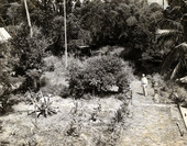 Koreshan Unity president Laurie Bubbett in landscaped garden by the Estero River.