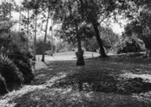 Mound on the Koreshan State Historic Site park property in Estero, Florida.