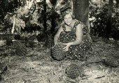 Mrs. Evelyn Horne with cones from a Monkey Puzzle tree on the Koreshan Unity property in Estero, Florida.
