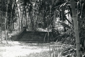 Bamboo Landing on Estero River.