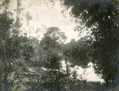 Scenic view of the Estero River at Bamboo Landing.