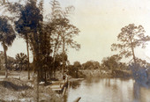 Bamboo Landing on the Estero River.