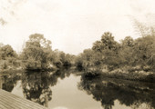 Scenic view of the Estero River from Bamboo Landing.