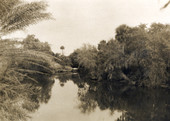 Scenic view of the Estero River.