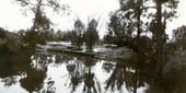 Postcard of Bamboo Landing on the Estero River.