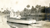 "Tartar" on the Estero River.