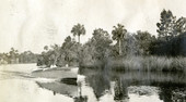 "Tartar" on the Estero River.
