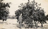Koreshan president Allen Andrews standing next to a citrus tree in Estero, Florida.