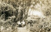 Postcard showing Koreshan president Allen Andrews sitting with Raymond Pilgrim at Bamboo Landing in Estero, Florida.