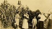 Postcard showing Koreshans examining some of their plants.