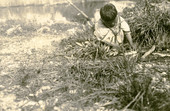 Seminole Indian boy stringing fish at camp on the Tamiami Trail.