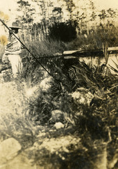 Seminole Indian gigging fish near camp.