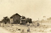 Postcard showing "Grandma" and Frank Johnson vegetable farming behind their home on Mound Key.