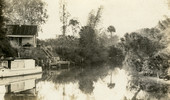 Postcard showing a scenic view of the Estero River in front of the Koreshan Unity medical cottage.