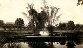 Bamboo Landing on the Estero River.