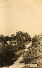 Bird's eye view looking toward Dr. Teed's mausoleum at Ft. Myers Beach on Estero Island, Florida.