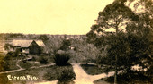 Bird's eye view looking toward the Koreshan Unity's pioneer log house in Estero, Florida.