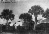 "Starvation camp on Desolation Avenue."
