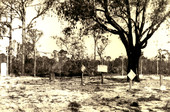 Koreshan Unity cemetery in Estero, Florida.