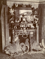 "Florida Collections" at the photographer's home in Chicago, Illinois.