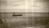 Mullet fishing in Key West, Florida.