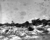 Coquina rock quarry used for many generations