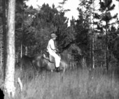 Horseback rider in the woods