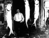 Men standing beside displayed Tarpon and Barracuda
