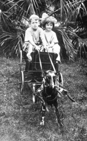 Jack Wade and Juanita Manor in goat-drawn wagon - Madison, Florida