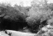 Sand bar at Blue Springs - Madison County, Florida