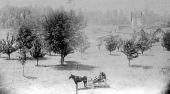 View of Florida Manufacturing Company grounds - Madison, Florida
