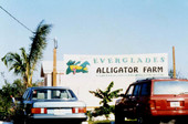 View showing the sign for the Everglades Alligator Farm following Hurricane Andrew - Homestead, Florida.