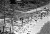 View of hurricane damage on state road 98