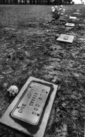 Pauper's gravesite at the Union Correctional Institution - Starke, Florida