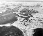 Wetlands purchased by the Florida Cabinet
