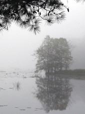 Lake Seminole.