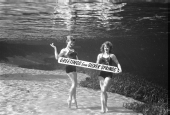 Greetings from Silver Springs.