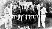 Day's catch of fish in the Everglades