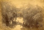 Scenic view of the St. Sebastian River.