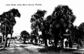 Palm walk on Anna Marie Beach - Anna Marie Island, Florida