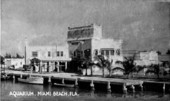 Aquarium - Miami Beach, Florida.