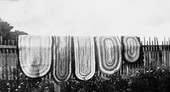 Rugs made by Jefferson County Home Demonstration Club members